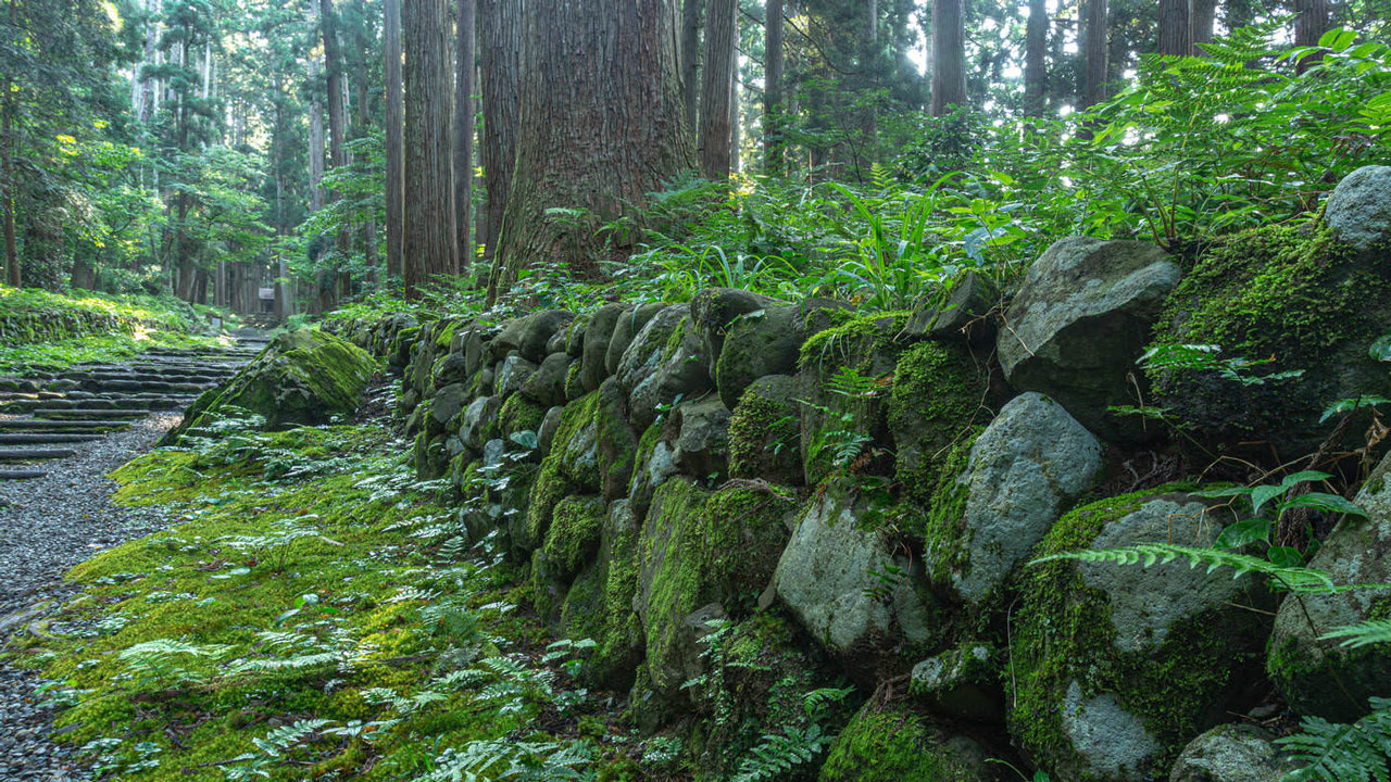 苔や雑草が生い茂る三の宮へと続く参道脇の石垣の無料写真素材