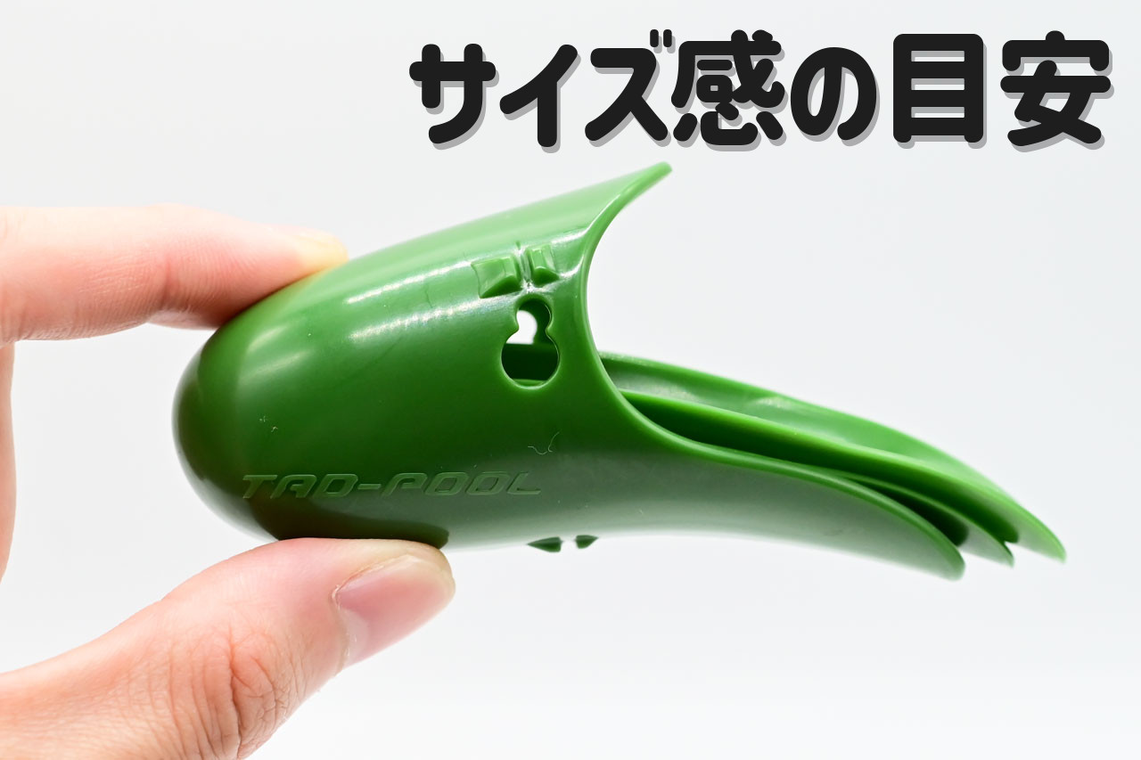 タッドプールの大きさ