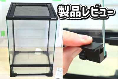 カミハタ「レプタイルガーデン」レビュー。非常にオススメ！