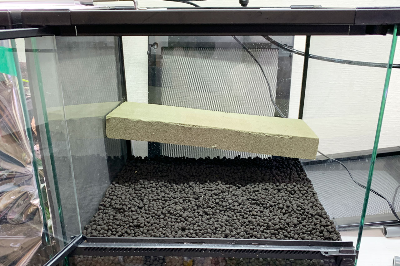 植えれる君3cmを横に浮かせた様子