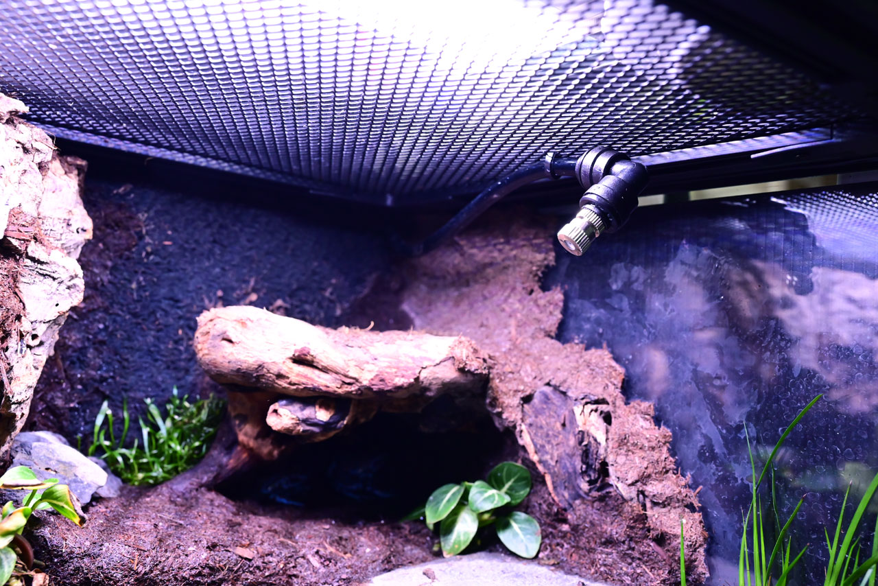 コンパクト構成でミストノズルを殖やしてる様子