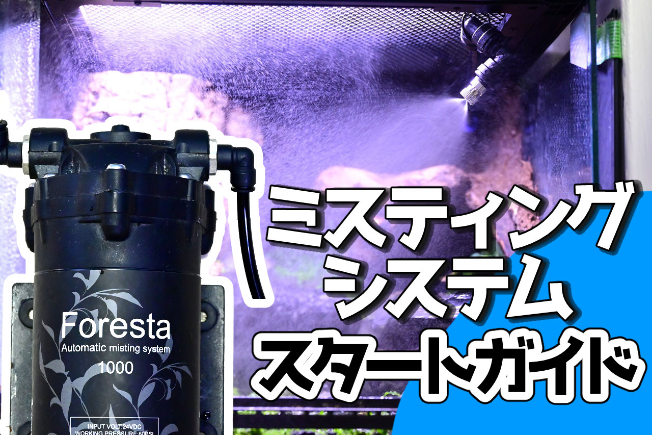 ミスティングシステムの使い方ガイド【フォレスタ】