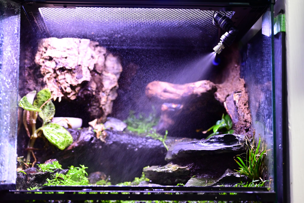 フォレスタ「Type-1」ノズルの噴霧範囲