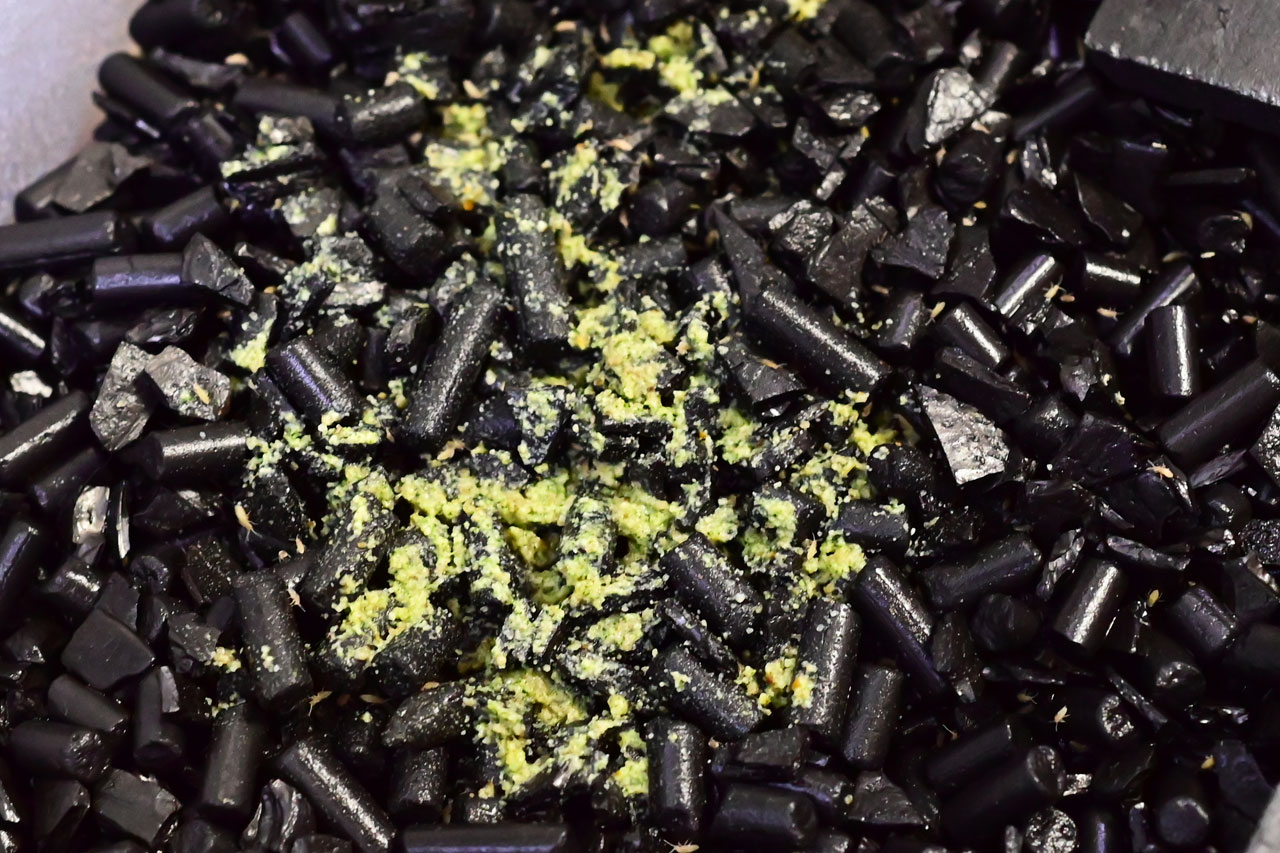 濡れたSpringTailsトビムシフード