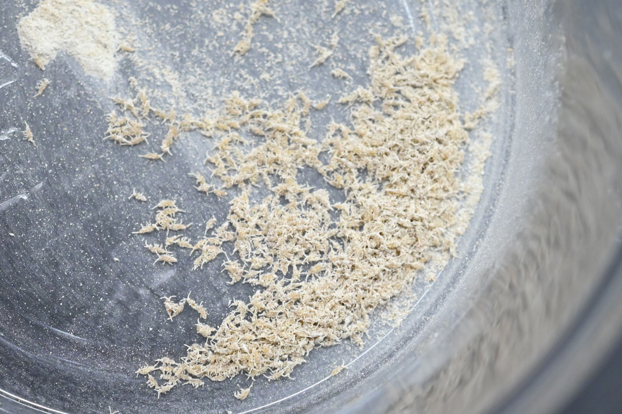 デンドロケアでダスティングしたトビムシ