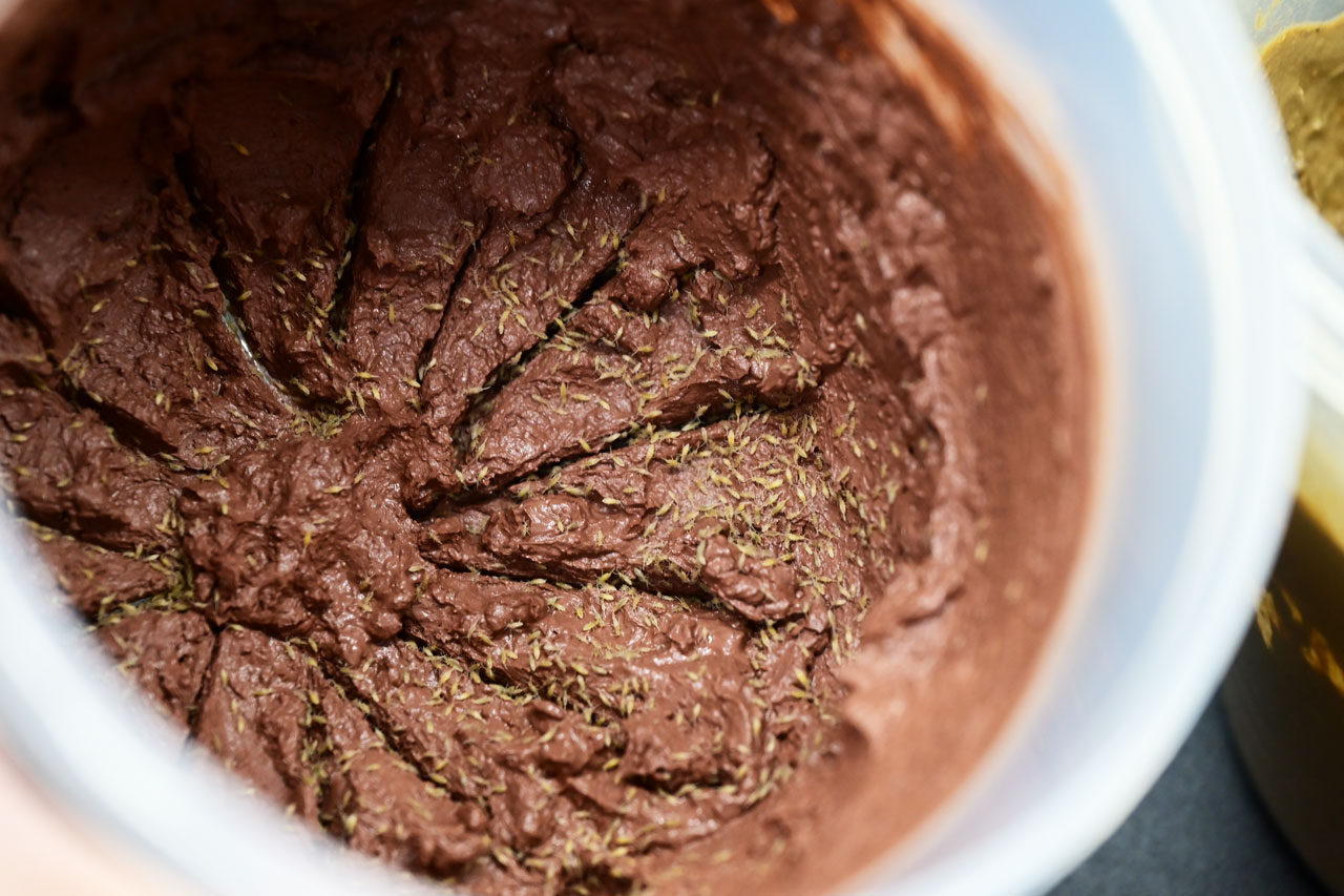 トビムシクレイ容器の中野トビムシ