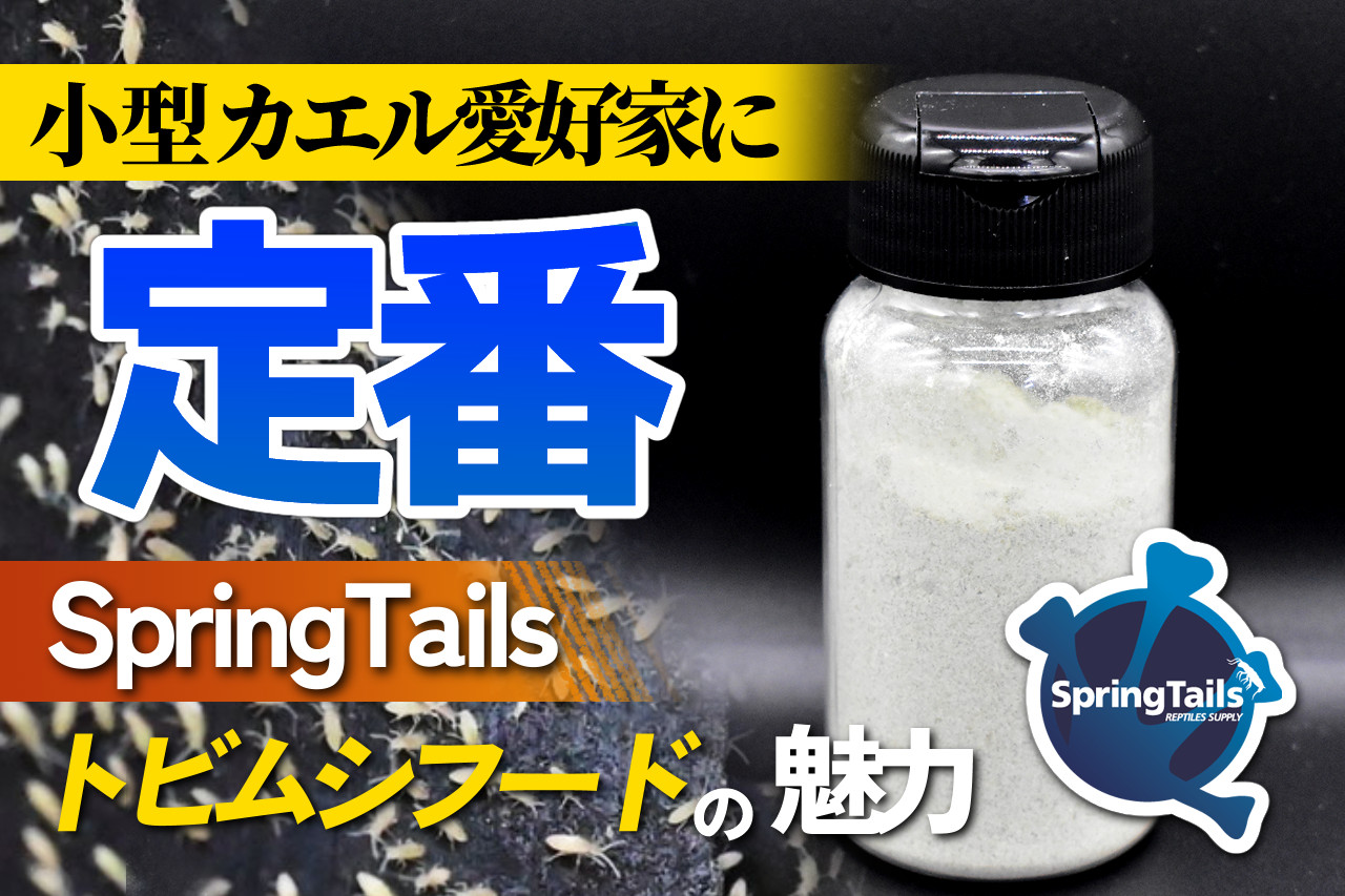 【定番エサ】SpringTails製トビムシフードの良さ