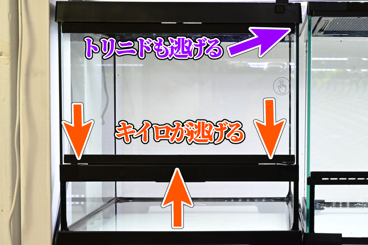 グラステラリウムPRO、ショウジョウバエが逃げる箇所