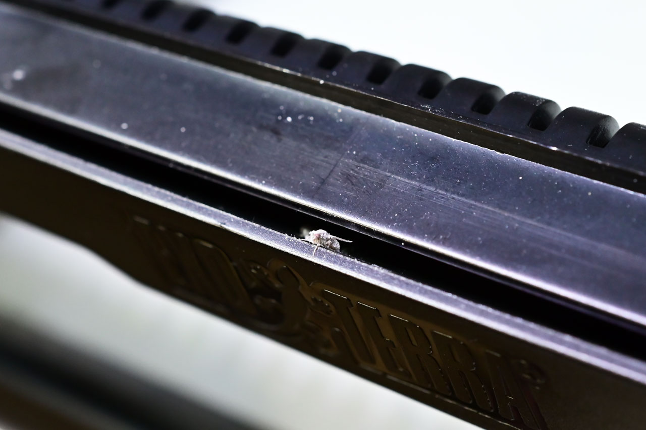 グラステラリウムPRO、閉める1個前の隙間からトリニドショウジョウバエが出てくる様子