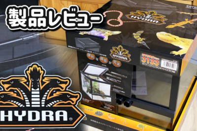 ヒュドラケース3133レビュー｜欠点・グラステラリウムPROと比較