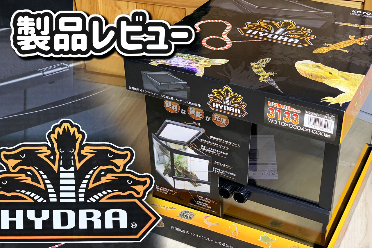 ヒュドラケース3133レビュー｜欠点・グラステラリウムPROと比較