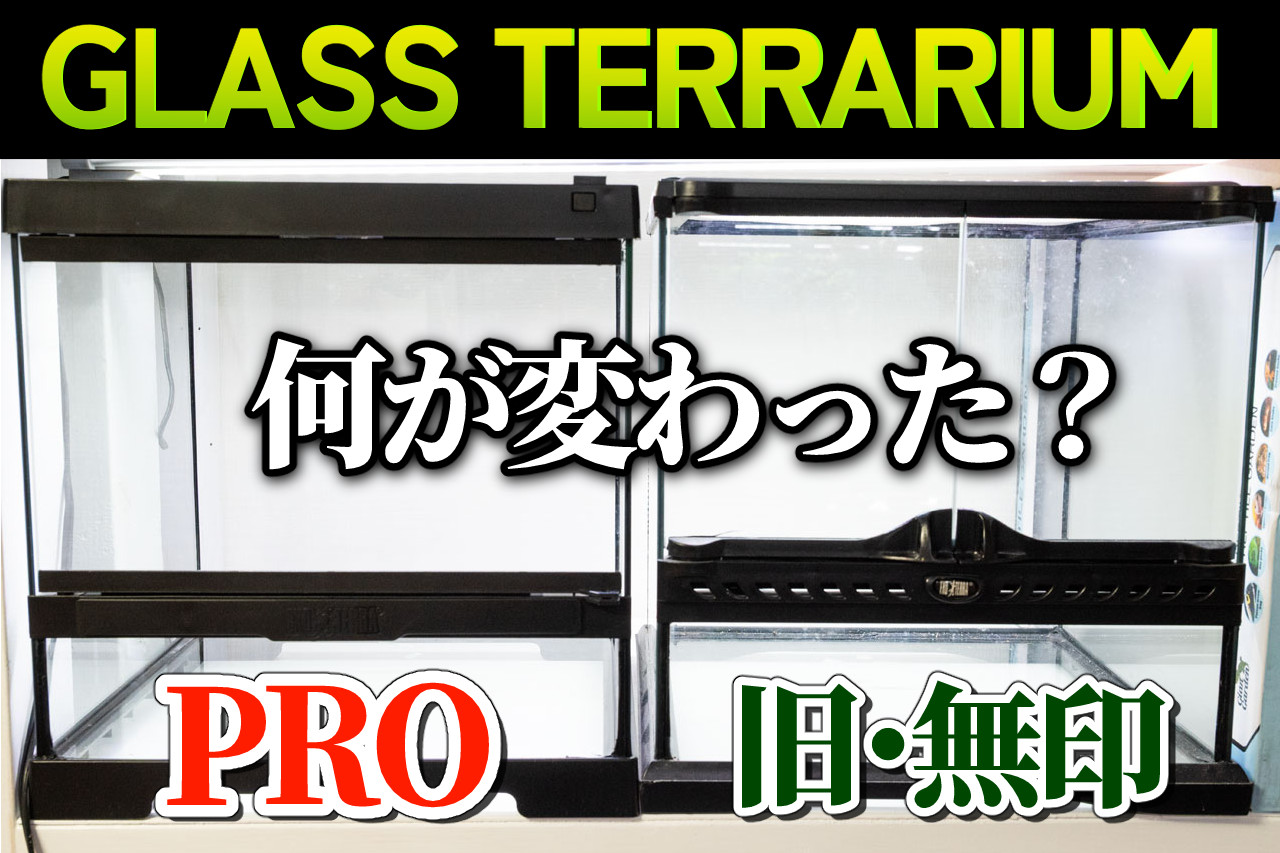 グラステラリウムPROと旧モデルの違い｜変更点まとめ