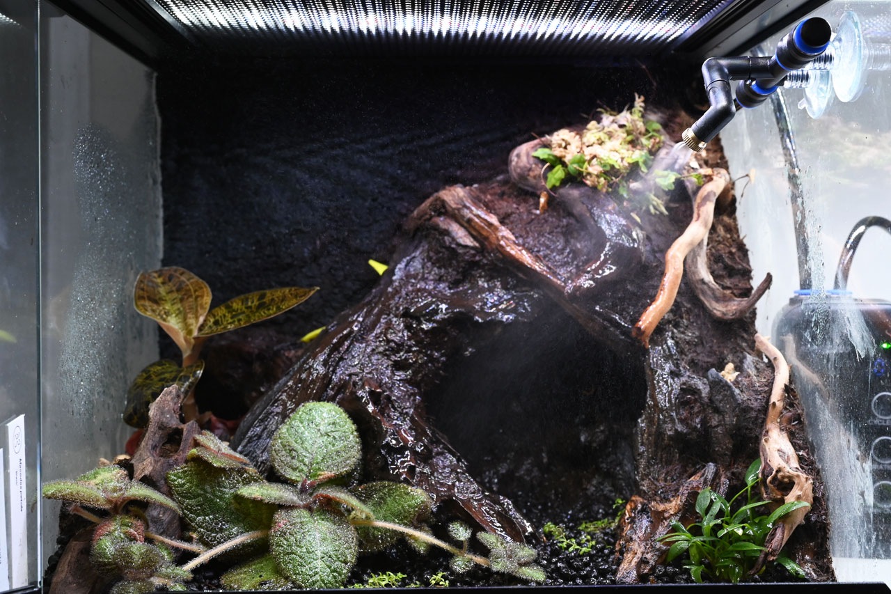 ポケットタイマー付きミストシステム、テラリウムで噴霧した様子