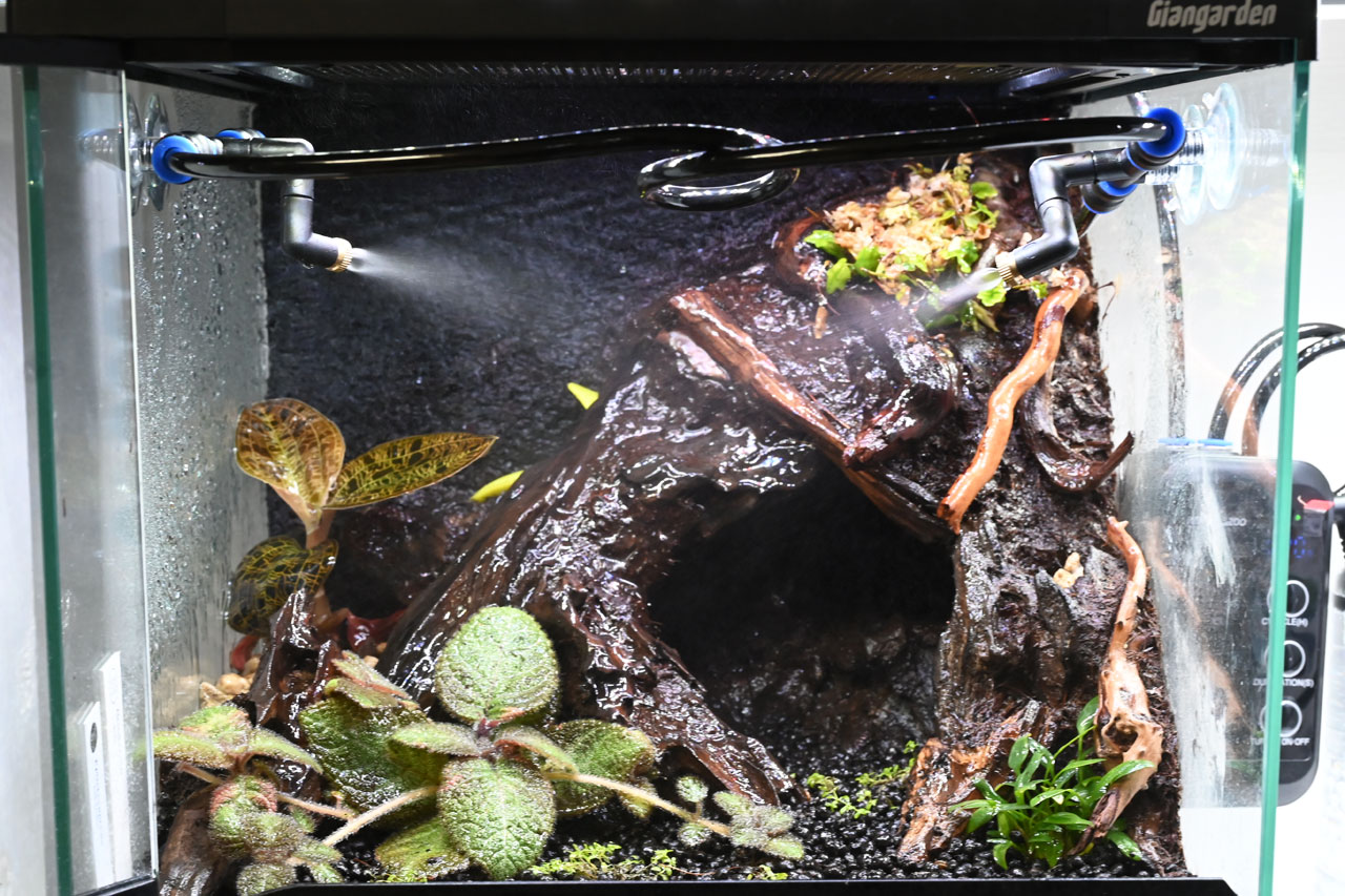 ポケットタイマー付きミストシステム、2ノズルでテラリウムを噴霧している様子