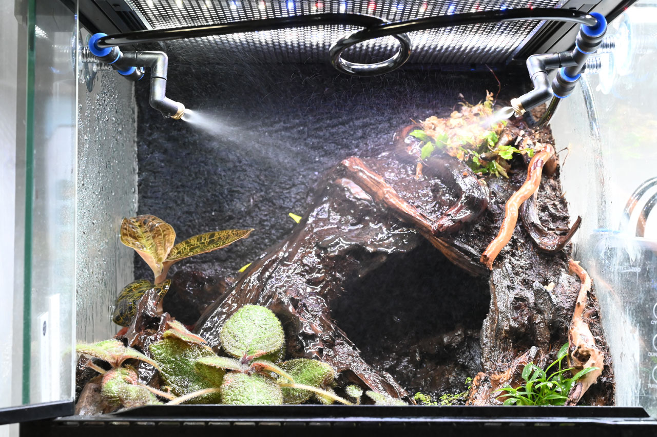 ポケットタイマー付きミストシステム、2ノズルでテラリウムを噴霧している様子、sono2