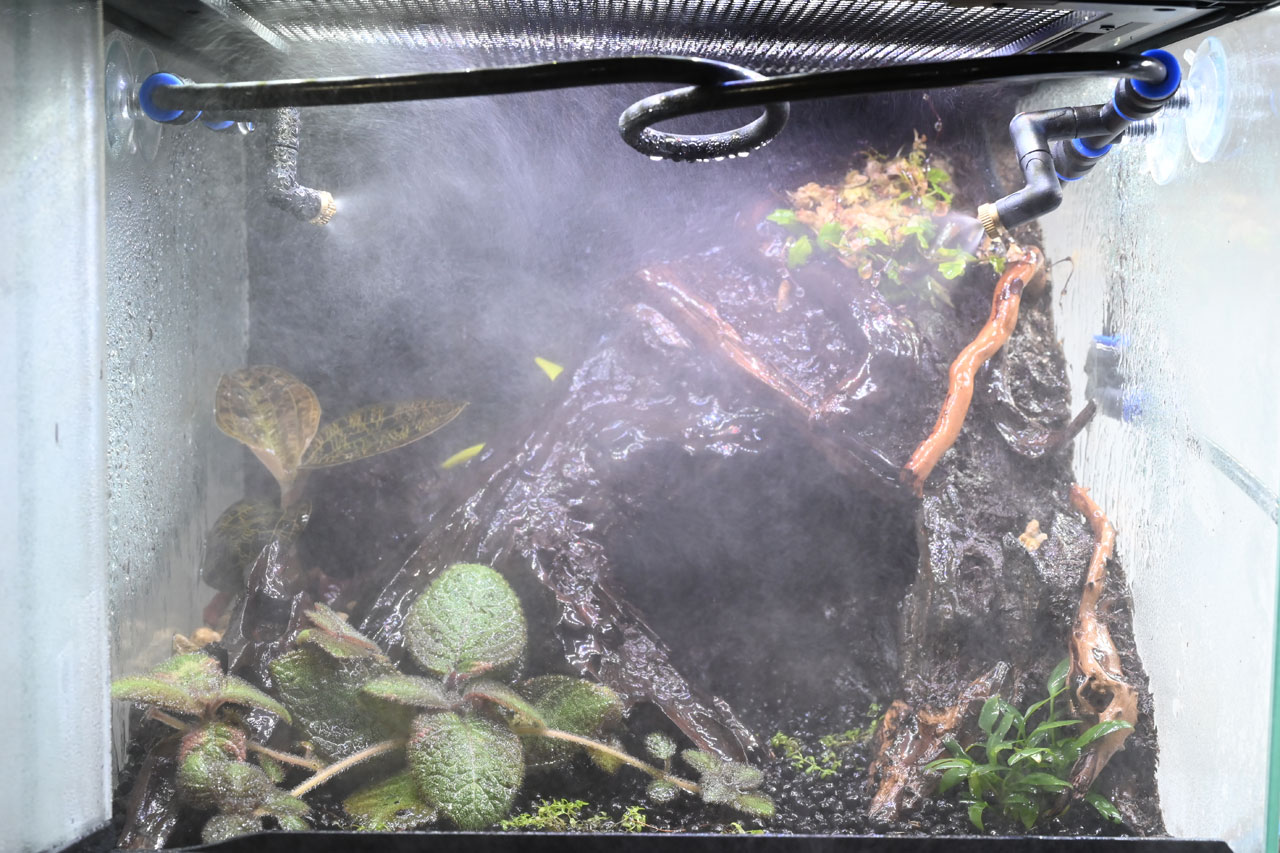 フォレスタの入門ポンプ（FS-1000）で、ポケットタイマー付きミストシステムのノズルを噴霧させた様子