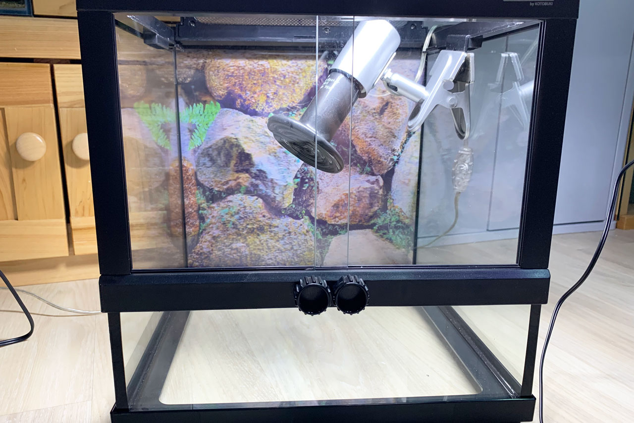 ヒュドラケース3133、ランプステーに取り付けられた保温ランプ