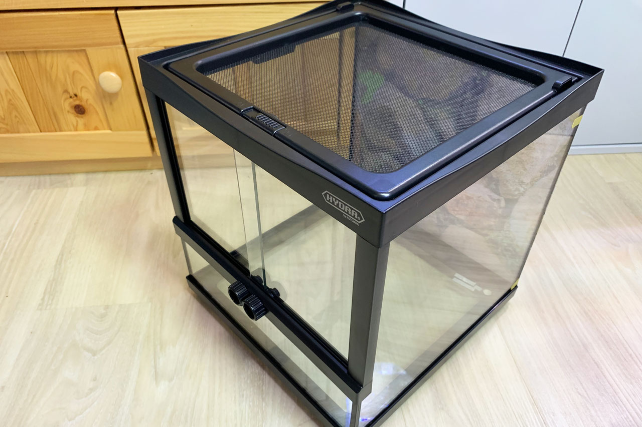 ヒュドラケース、斜め上から